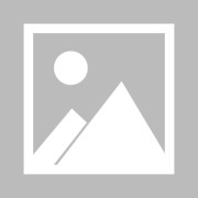 自由vs火花比分预测 08月13日WNBA