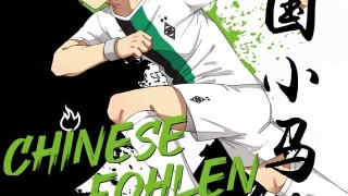 中国小马驹第01话——马失前蹄